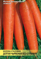 Морковь Длинная красная без сердцевины стол - фото