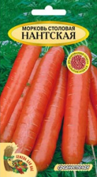 Морковь дражированная "Нантская" - фото