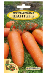 Морковь ст. Шантэнэ - фото