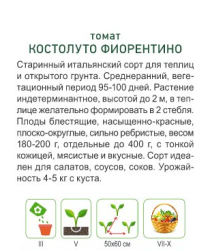 Томат Kocтoлyтo Фиopeнтинo - фото2