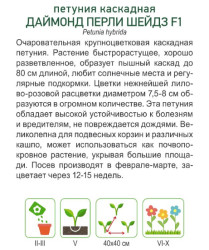 Петуния каскадная крупноцветковая Даймонд Парпл F1 (Cerny seed) 5 шт - фото2