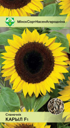 Подсолнечник Корил F1 - фото